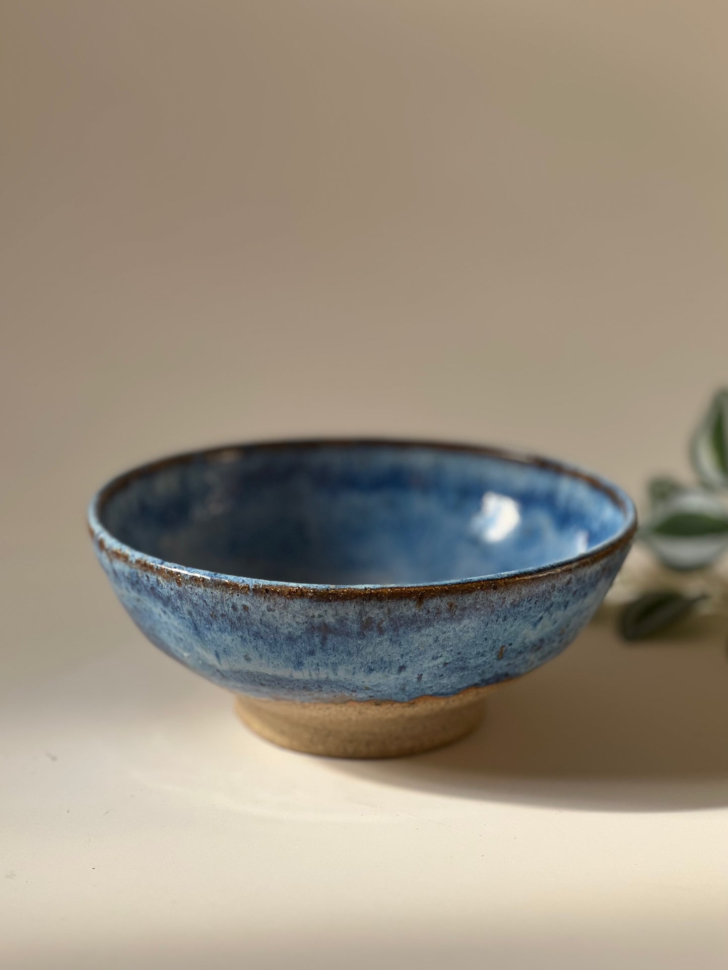 Blue speckled bowl
