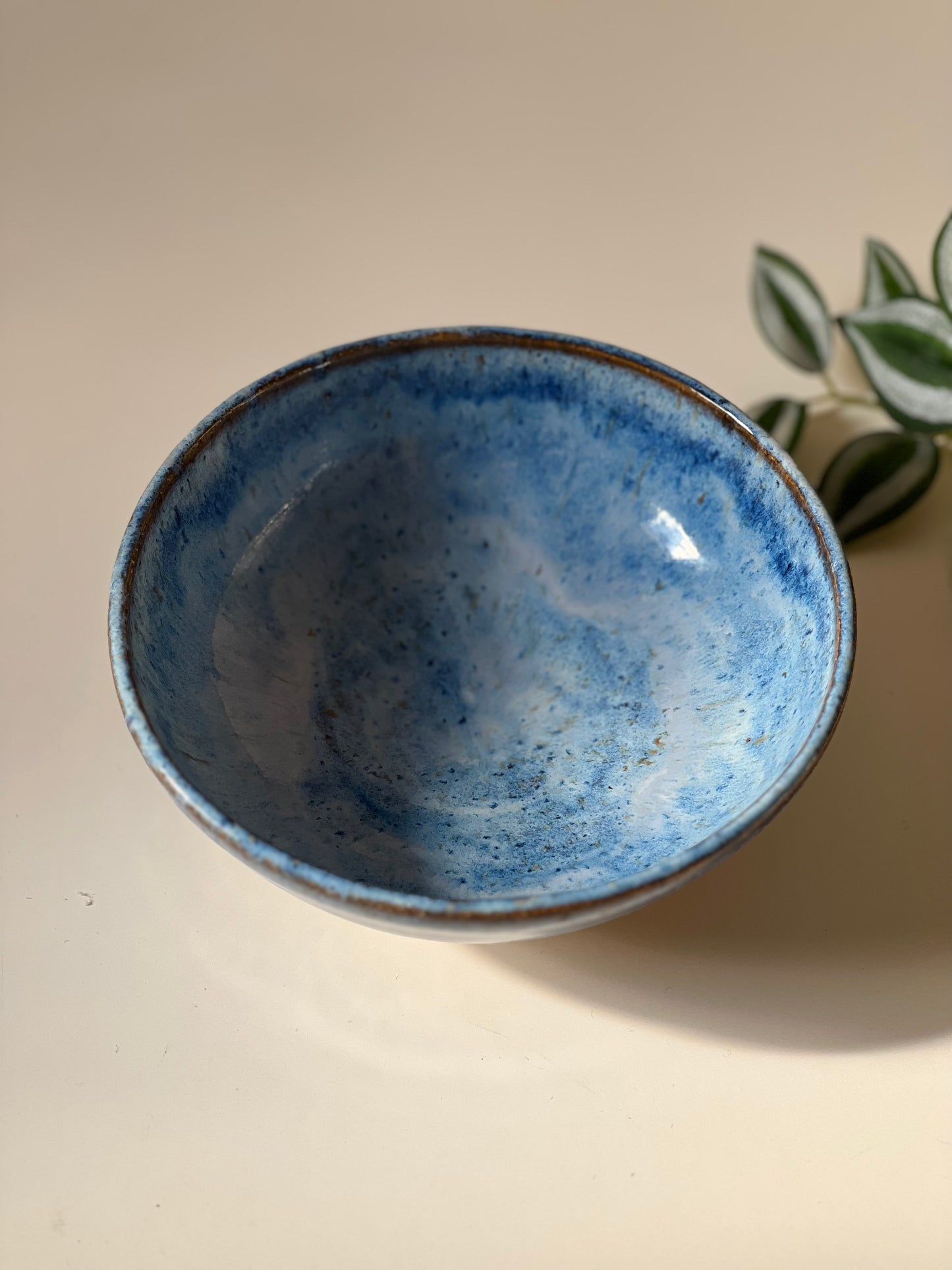 Blue speckled bowl