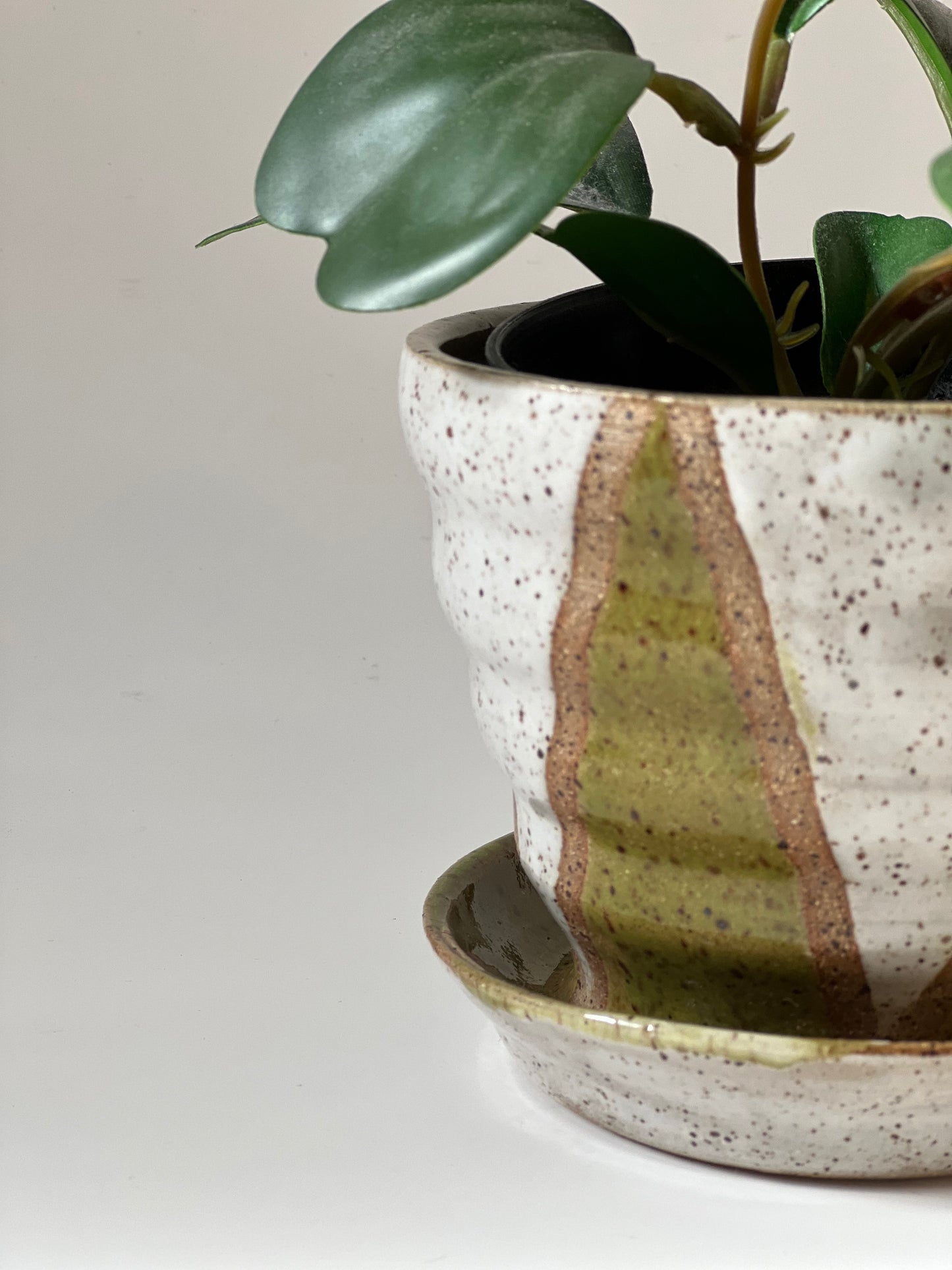 Speckled modern planter