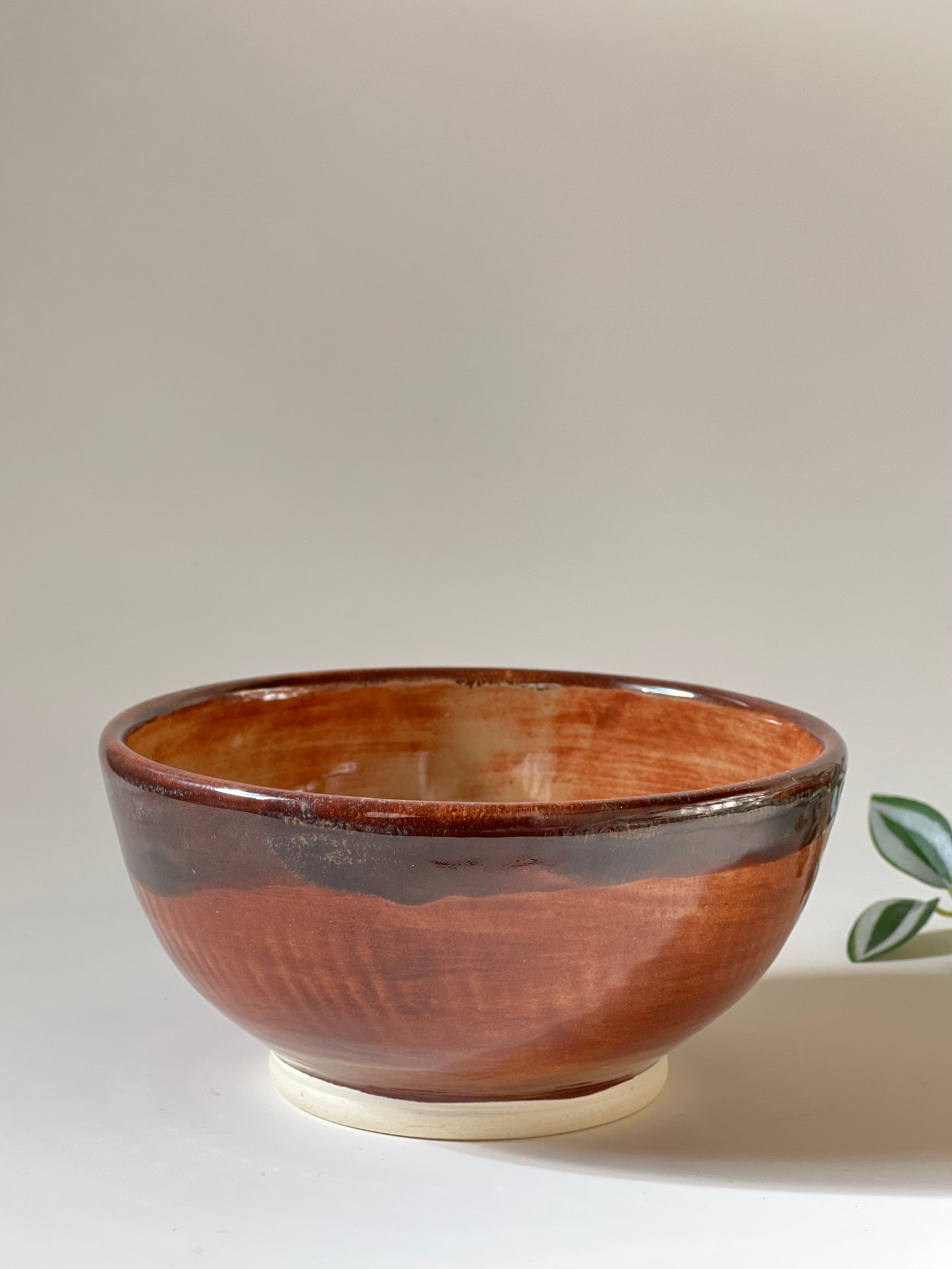 Shino bowl