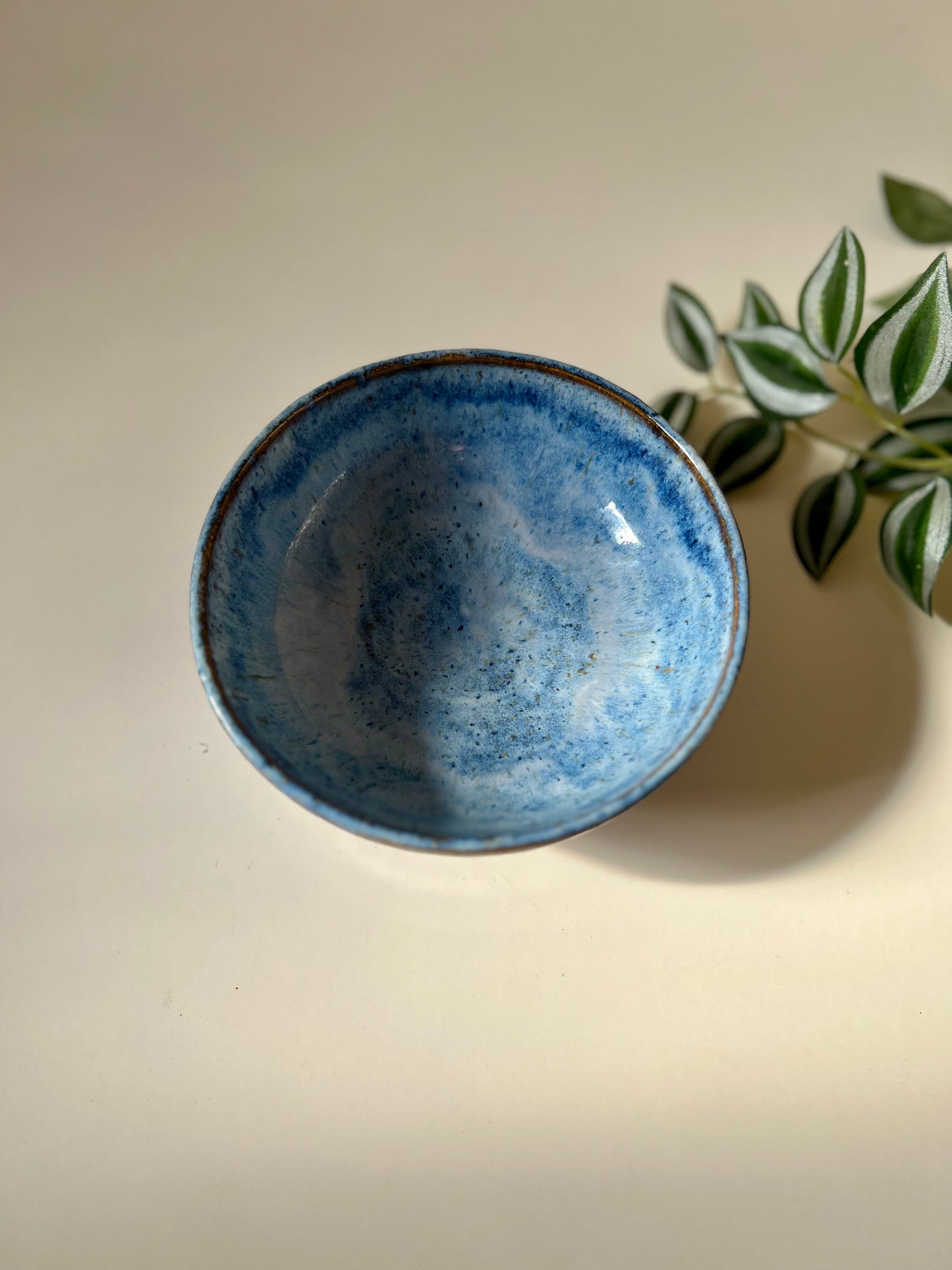 Blue speckled bowl