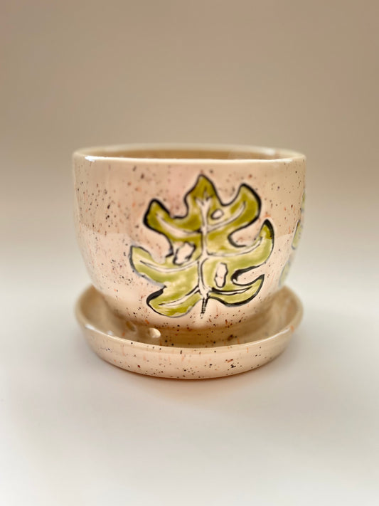 Monstera plant pot