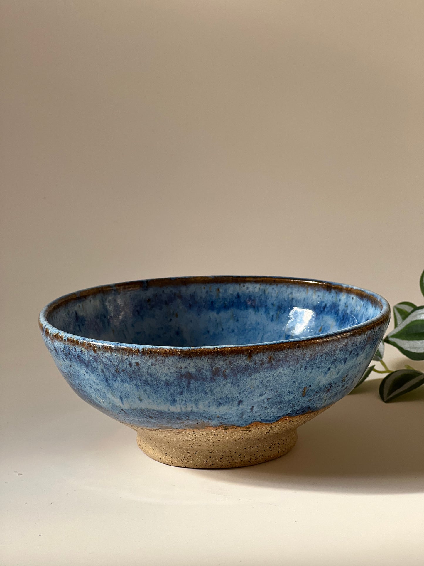 Blue speckled bowl