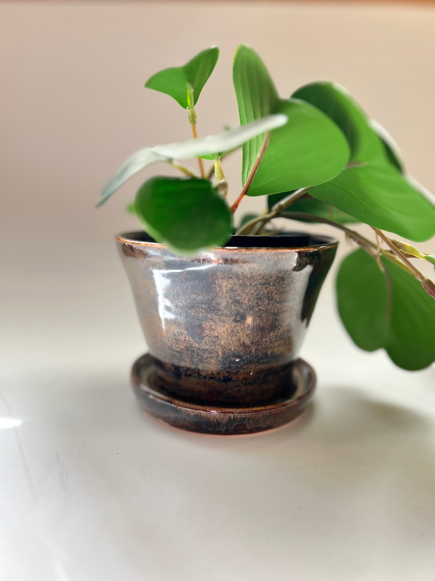 Brown plant pot