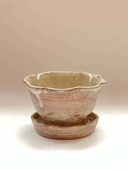 Flower planter with drip plate