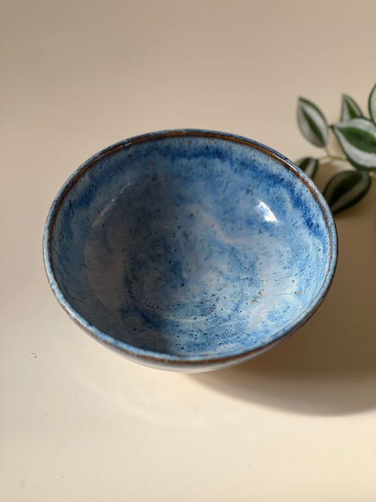 Blue speckled bowl